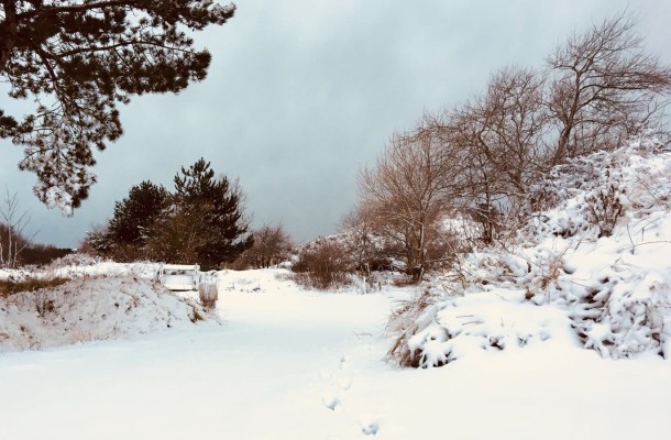 Lakens_sneeuw_camping_winter_2017_natuur.JPG